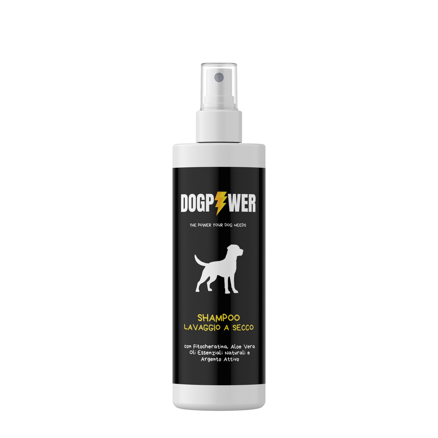 Shampoo Lavaggio a Secco